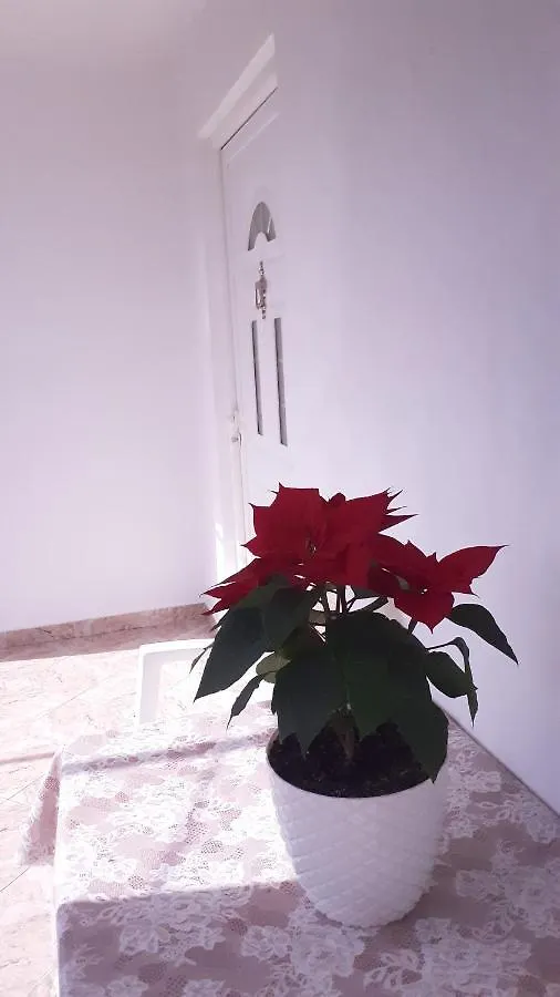 Cosy Guest House Sarandë 0*,  알바니아